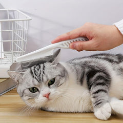 Tick and Flea Remover for Cats and Dogs - Tick Removal Tool