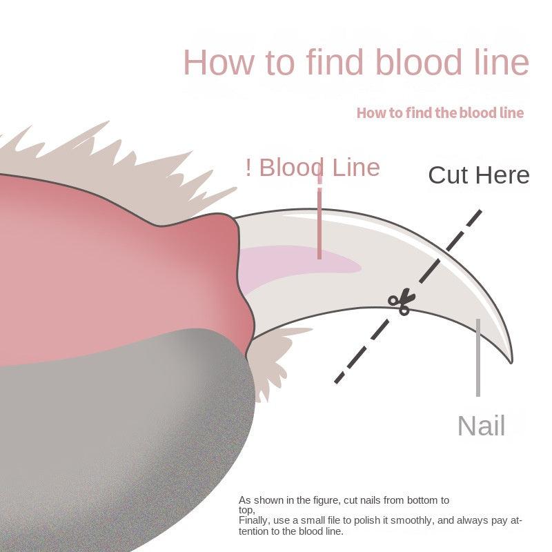 Pet Nail Clipper Cut Belt File Cleaning And Beauty Products