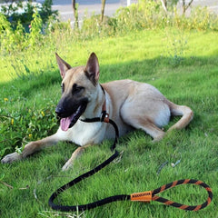 Braided Dog Training Leash No Pull Heavy Duty Strong Leash for Medium Large Dogs