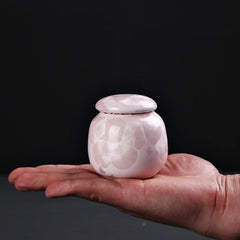 Pet Urn Dog Ashes Container Cats Ashes Keepsake Funeral Supplies