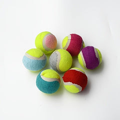 Random Dog Tennis Ball Toy Block Dog Training Ball For Fetch Dog Toy