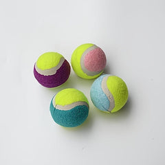 Random Dog Tennis Ball Toy Block Dog Training Ball For Fetch Dog Toy