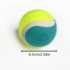Random Dog Tennis Ball Toy Block Dog Training Ball For Fetch Dog Toy