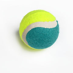 Random Dog Tennis Ball Toy Block Dog Training Ball For Fetch Dog Toy