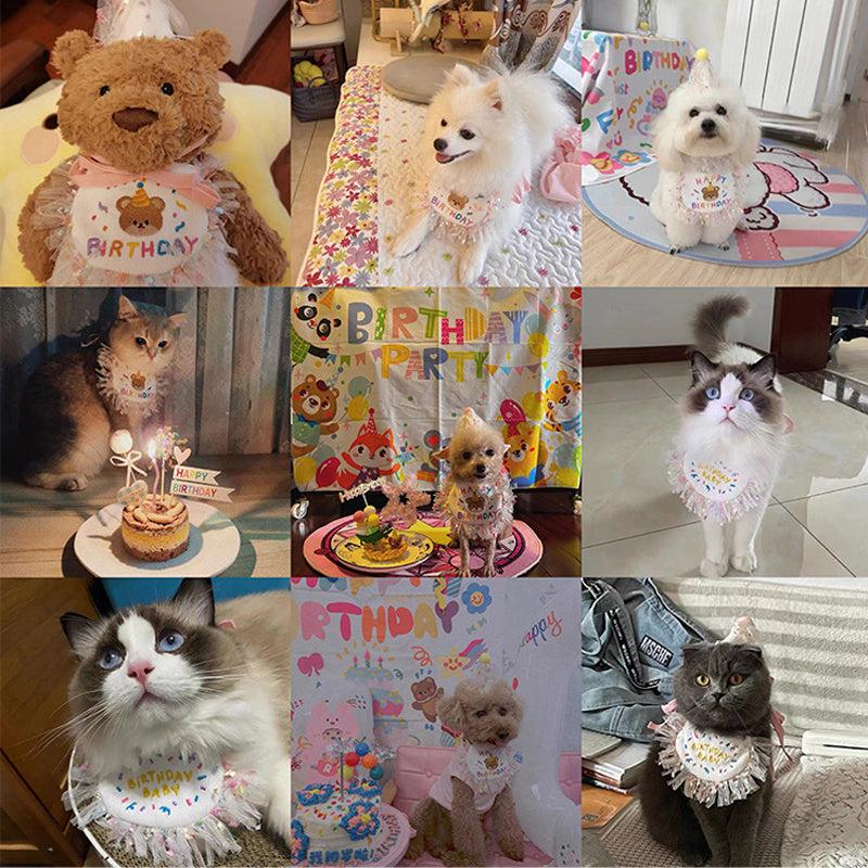Pet Birthday Hat And Bandana Set Cat Birthday Hat And Bib For Party