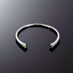 Stainless Steel Cremation Bracelet with Birthstone Keepsake Jewelry