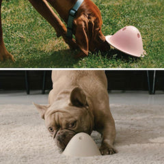 Chew Resistant Dog Toy for Training, Hide Dog Food Toy