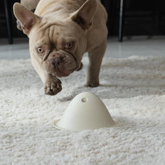 Chew Resistant Dog Toy for Training, Hide Dog Food Toy