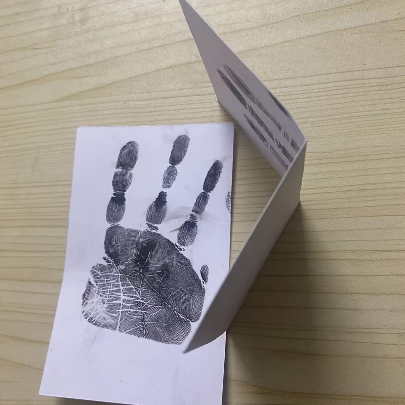 2pcs Pet Paw Print Ink Pad - Memorialize Your Pet with Lasting Memories