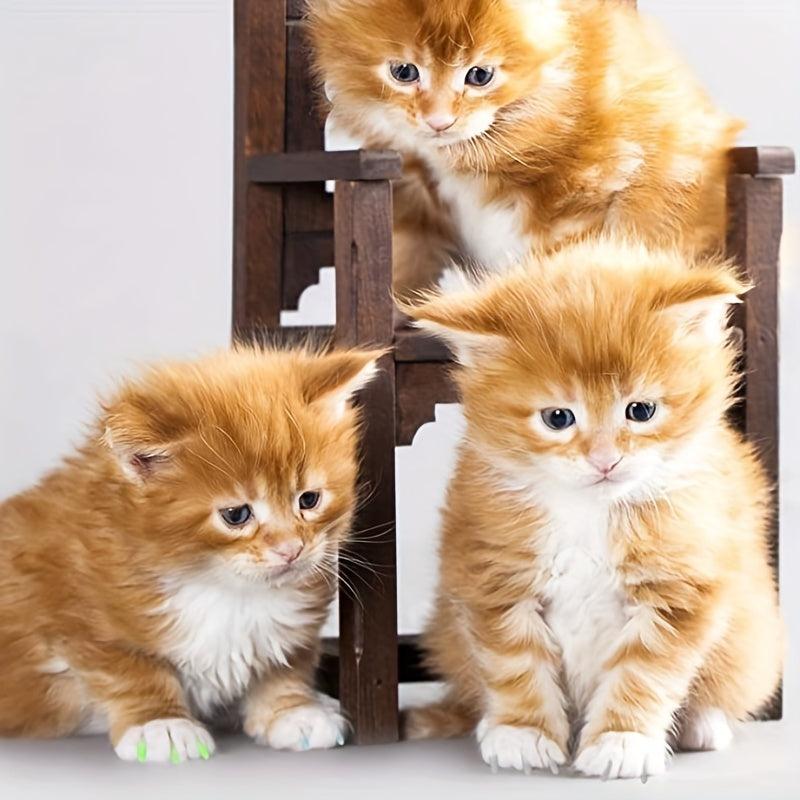 20pcs Cat Nail Caps with Adhesives & Applicators