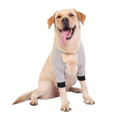 Dog Front Leg Brace Protective Recovery Sleeve Dog Leg Pads Protector