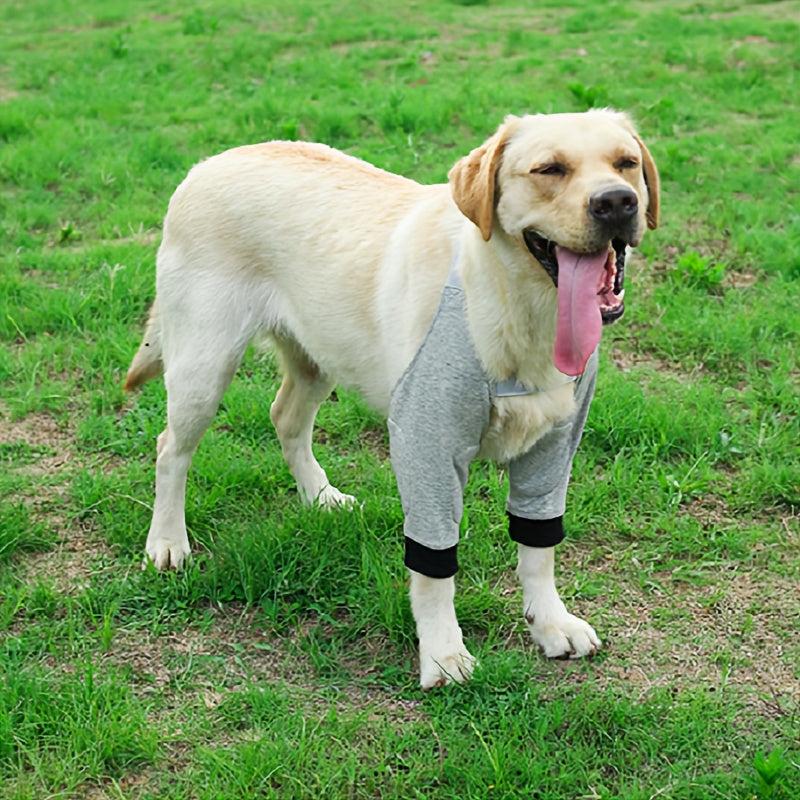 Dog Front Leg Brace Protective Recovery Sleeve Dog Leg Pads Protector