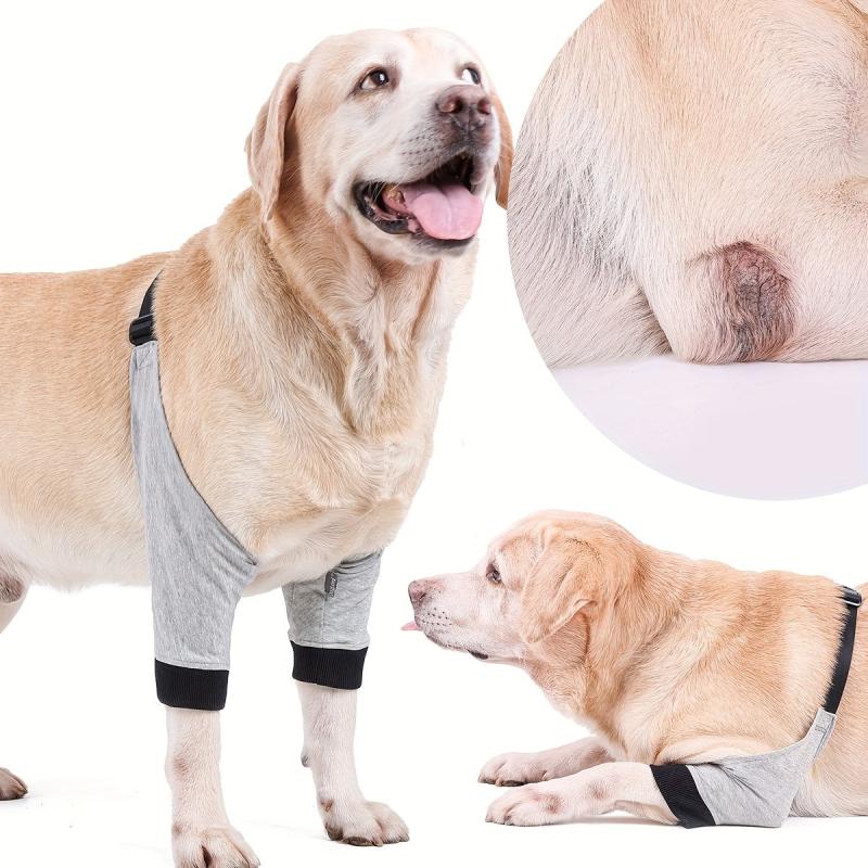 Dog Front Leg Brace Protective Recovery Sleeve Dog Leg Pads Protector
