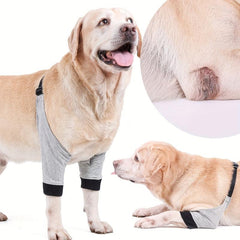 Dog Front Leg Brace Protective Recovery Sleeve Dog Leg Pads Protector