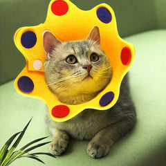 Pet Cone Cat Elizabeth Circle Adjustable Recovery Collar