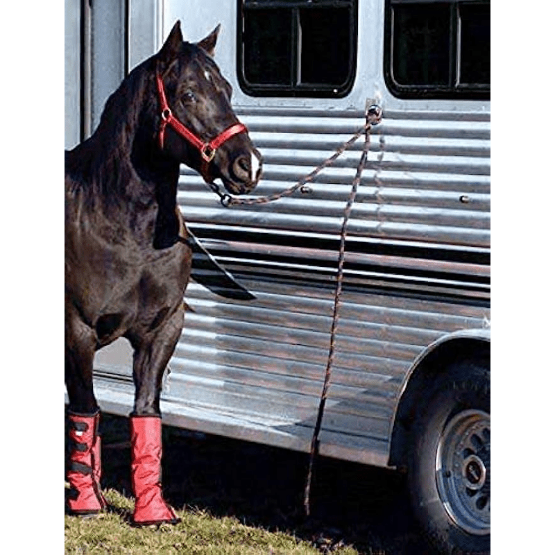 4pcs Heavy Duty Wall Mount Hitching Ring Hooks for Horse Stall Stable