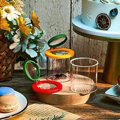 Yellow Plastic Insect Box w/ Acrylic Magnifying Glass