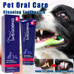 Cat Toothpaste Dog Dental Care Pet Supplies