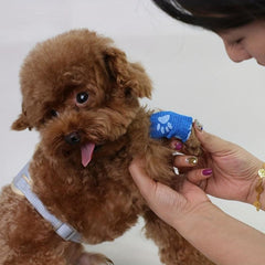 Pet Self Adhesive Bandage for Dog Wrist Ankle Swelling