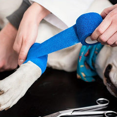 Pet Self Adhesive Bandage for Dog Wrist Ankle Swelling