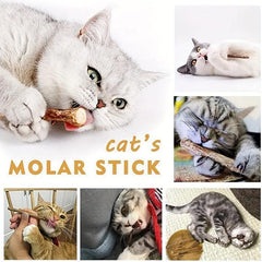 5pcs Cat Teeth Grinding Sticks Dental Care for Cats