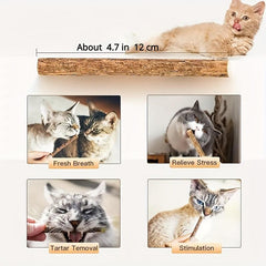 5pcs Cat Teeth Grinding Sticks Dental Care for Cats