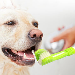 Three-Headed Dog Toothbrush for Cleaning Teeth and Freshening Breath