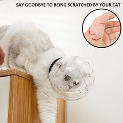 Transparent Breathable Pet Cat Muzzle Anti-bite Anti-scratch Headgear