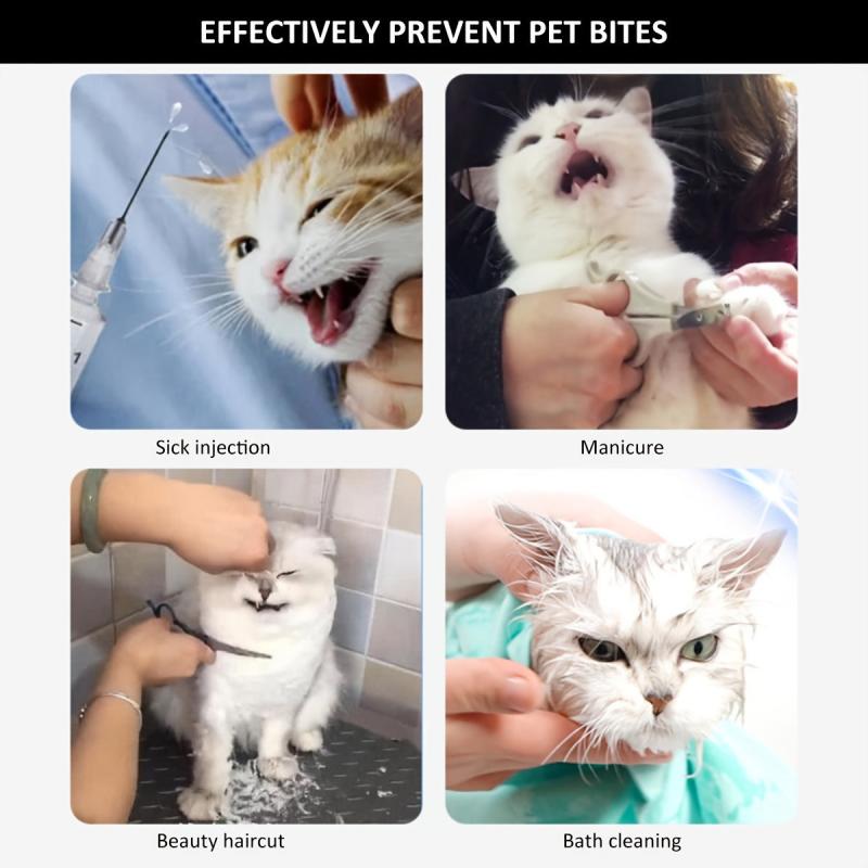 Transparent Breathable Pet Cat Muzzle Anti-bite Anti-scratch Headgear