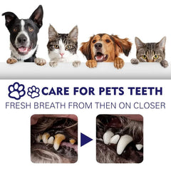 Pet Toothpaste for Dog and Cat Oral Care