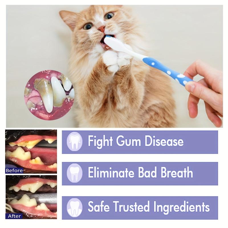 Pet Toothpaste for Dog and Cat Oral Care