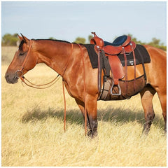 Horse Belly Protection Cover Horse Fly Sheet