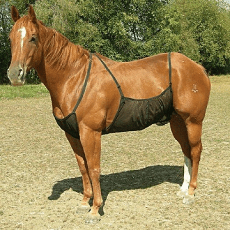 Horse Belly Protection Cover Horse Fly Sheet
