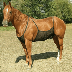 Horse Belly Protection Cover Horse Fly Sheet