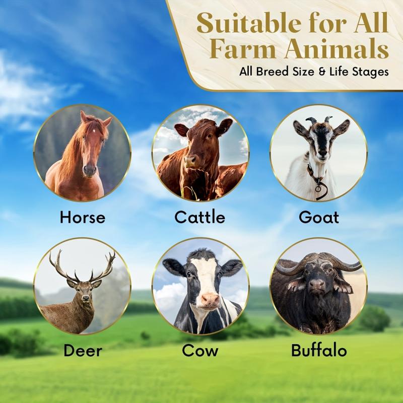 Livestock Cattle Licking Salt Block