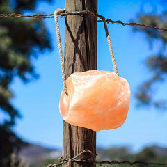 Livestock Cattle Licking Salt Block