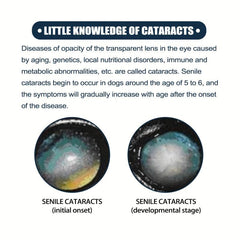 Dog Eye Drops for Tear Marks & Itching, Pet Eye Drops for Cats & Dogs