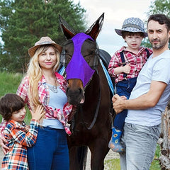 Fine Mesh Horse Fly Mask Anti-mosquito Breathable Comfortable Horse Mask