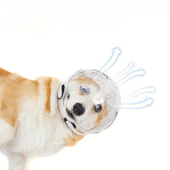 Pet Space Ball Hood Dog Headgear Elizabeth Circle Dog Head Cover