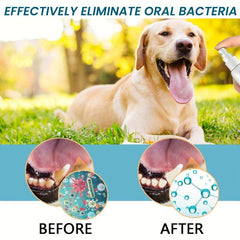 Pet Oral Spray for Dogs and Cats Bad Breath Yellow Teeth Cleaning Care