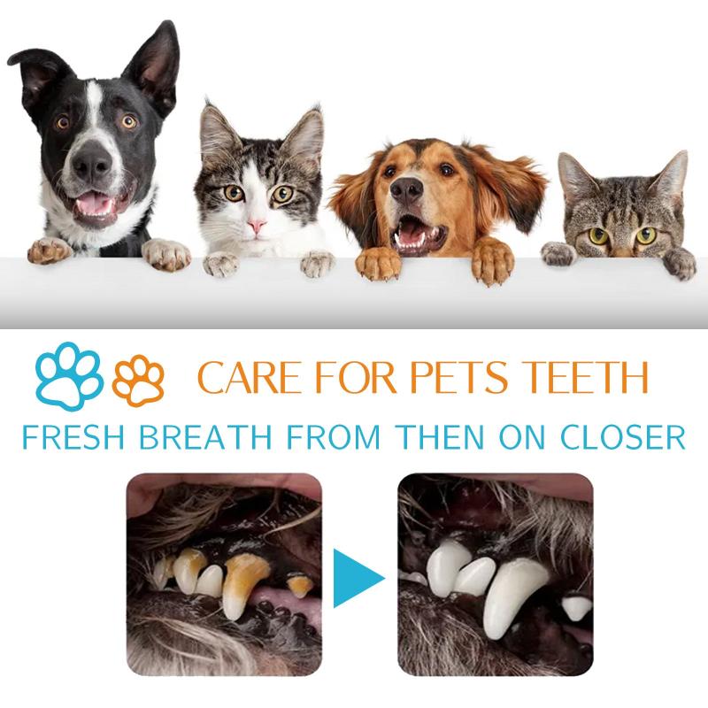 50pcs Pet Toothbrush Finger Cover Dog Dental Wipes