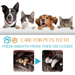 50pcs Pet Toothbrush Finger Cover Dog Dental Wipes