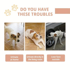 Potty Training Aid Spray for Dogs Helps Train Puppies Where to Potty