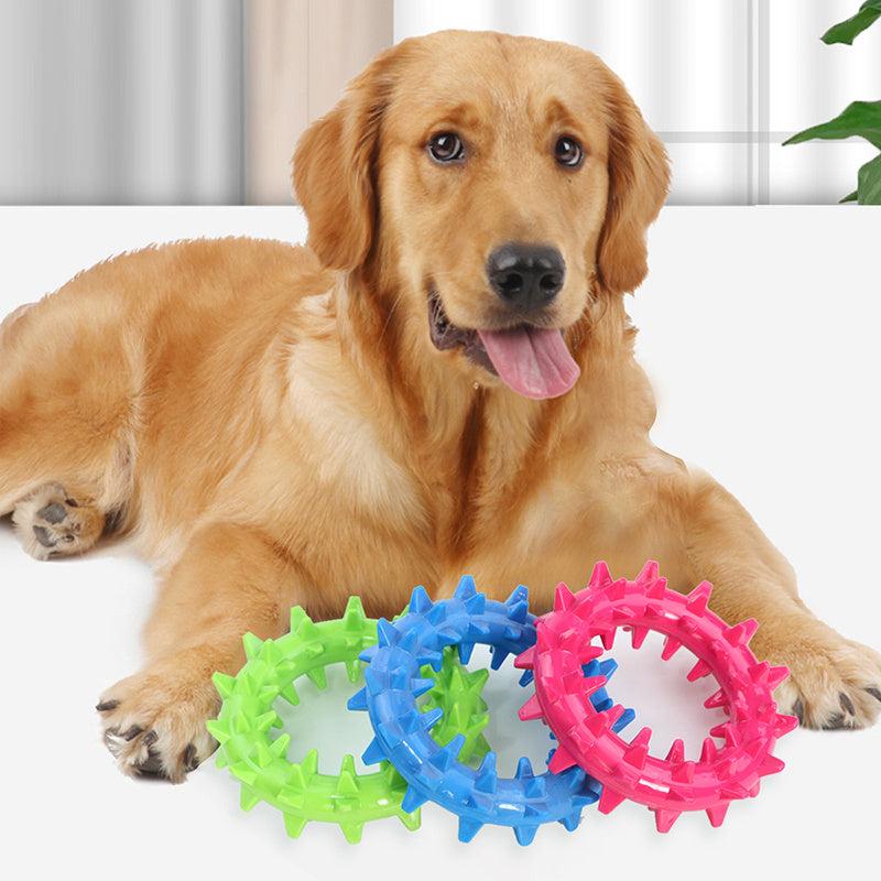 Durable Spiked Ring Pet Toy with Audible Teething Sound