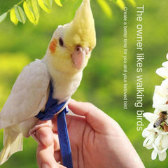 Adjustable Bird Harness & Leash for Safe Flight Training
