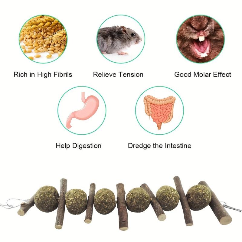 Small Animal Hanging Chew Toy for Dental Health and Boredom Reduction