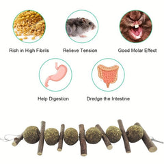 Small Animal Hanging Chew Toy for Dental Health and Boredom Reduction