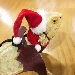 2pcs Small Pet Christmas Set Hat and Scarf Reptile Decorations