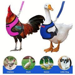 Breathable Chicken Chest Harness With Leash Adjustable Comfortable Strap