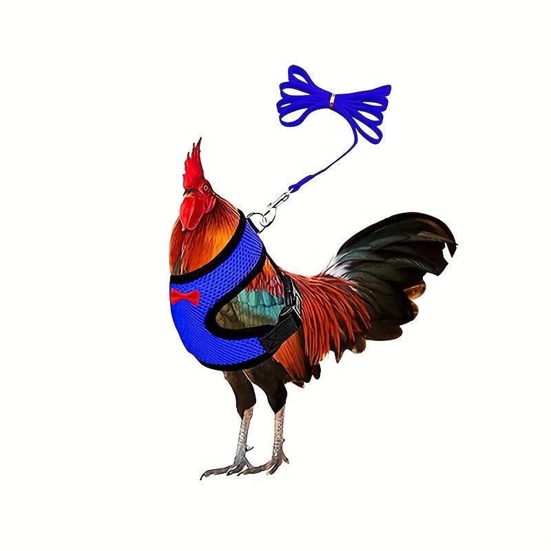 Breathable Chicken Chest Harness With Leash Adjustable Comfortable Strap